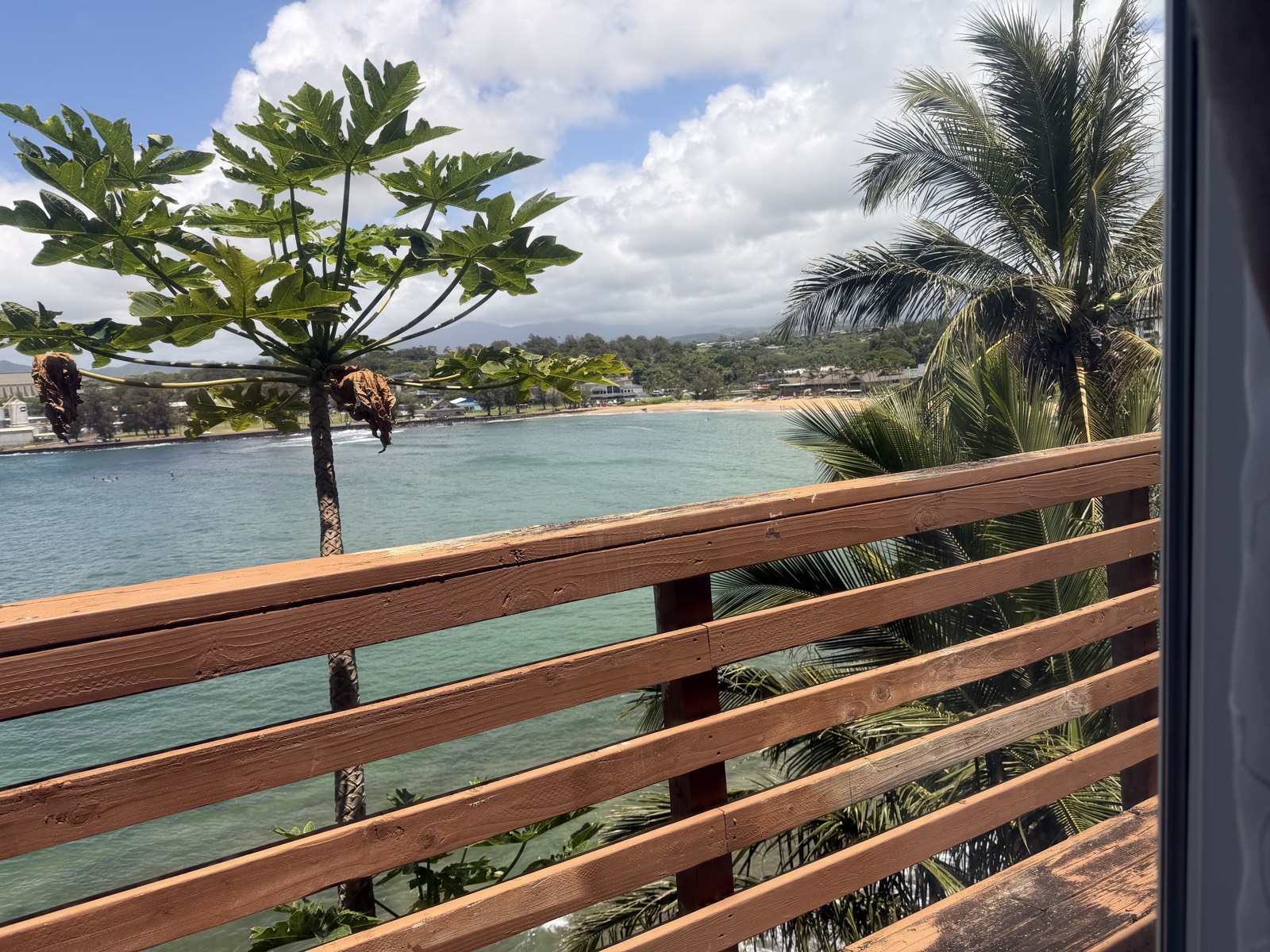 A bay in Hawaii seen from a wooden lanai railing, with a papaya tree, palm fronds, and turquoise water curving around a sandy point under a bright, cloud-dappled sky.